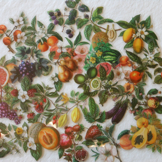 Transparent Fruit and Veggie Stickers, Pack of 10